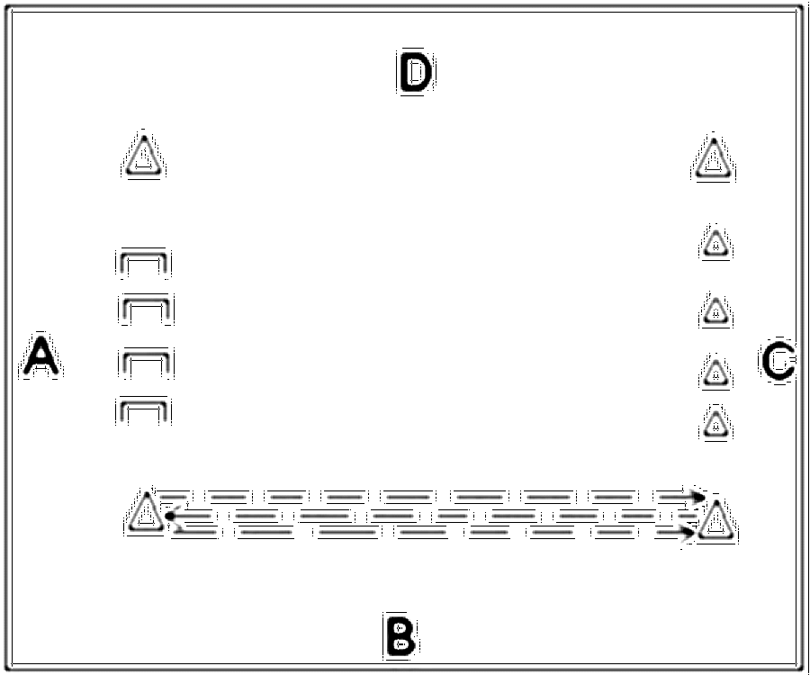 Diagramm zur Übung: Slalomdribbling mit Hürden über Hürden — Kondition