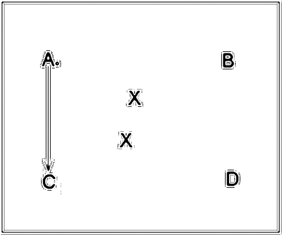 Diagramm zur Übung: Die beiden Torhüter stehen zwischen den Spielern