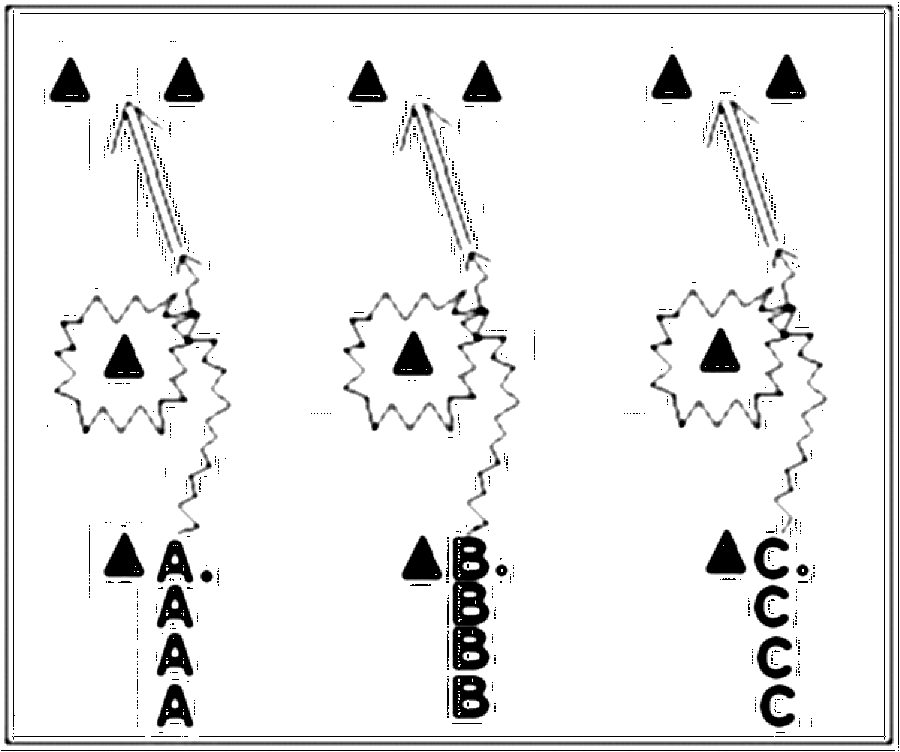 Diagramm zur Übung: Torschuss mit Hütchen in Gruppen — Aufwärmen…