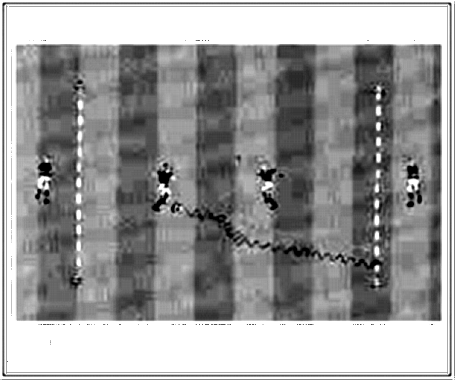Diagramm zur Übung: Dribbling mit Hütchen in Gruppen — D-Jugend