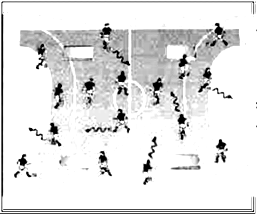 Diagramm zur Übung: Die Matten werden in der Halle gleichmäßig verteilt