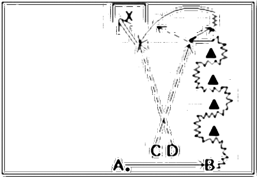 Diagramm zur Übung: Dribbling mit Hütchen in Gruppen — Torkombination