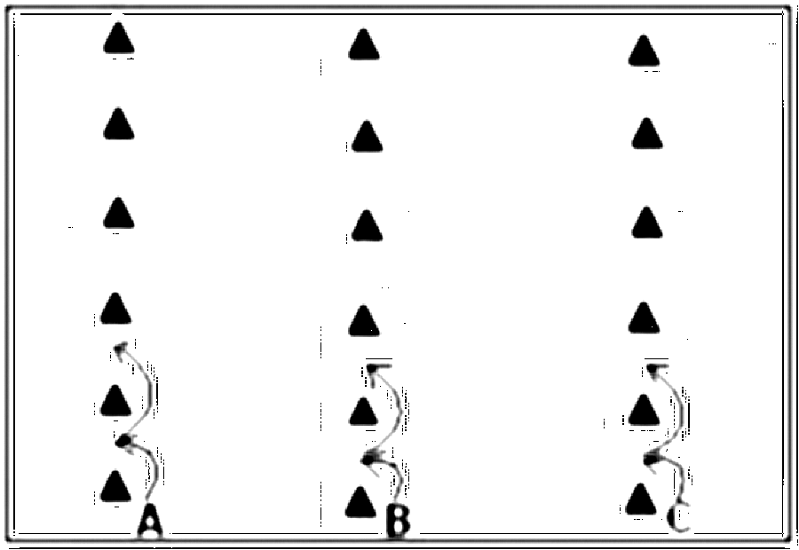 Diagramm zur Übung: Fußballübungen — oberer Amateurbereich (Nr. 2525)