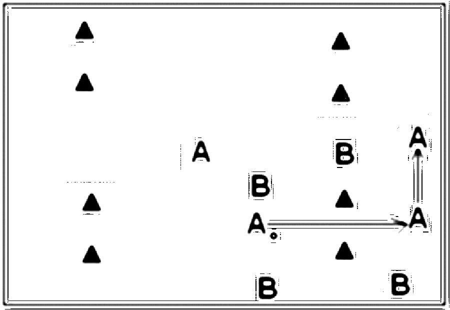 Diagramm zur Übung: Konzentriertes Einlaufen (5 Minuten), dann A:B (Nr.…
