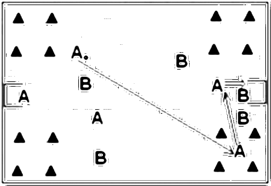 Diagramm zur Übung: Konzentriertes Einlaufen (5 Minuten), dann A:B (Nr.…