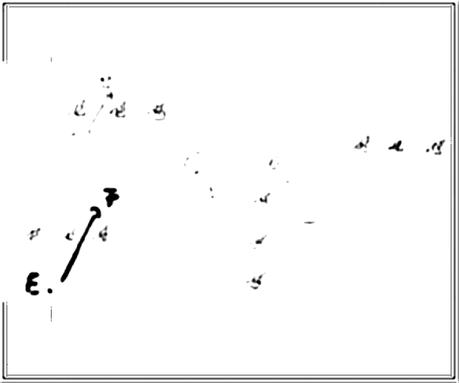 Diagramm zur Übung: Passen — Zuspiel, D-Jugend