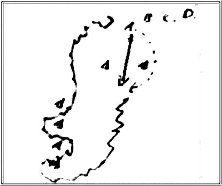 Diagramm zur Übung: Die Gruppe steht vor einem Hütchentor