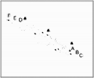 Diagramm zur Übung: Dribbling mit Hütchen — Finten, C-Jugend