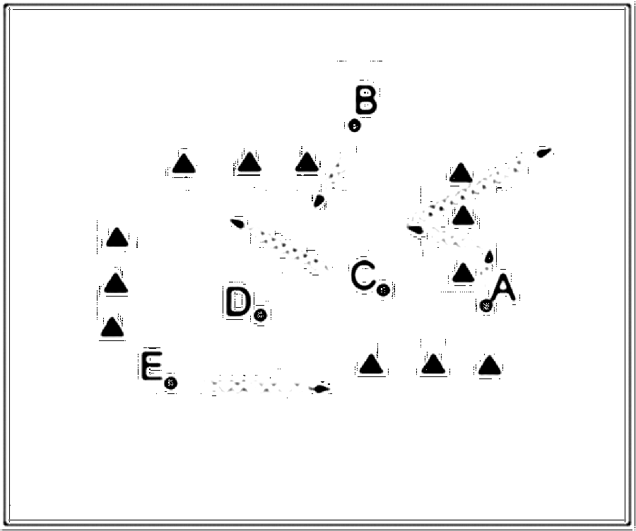 Diagramm zur Übung: Dribbling mit Tor — C-Jugend