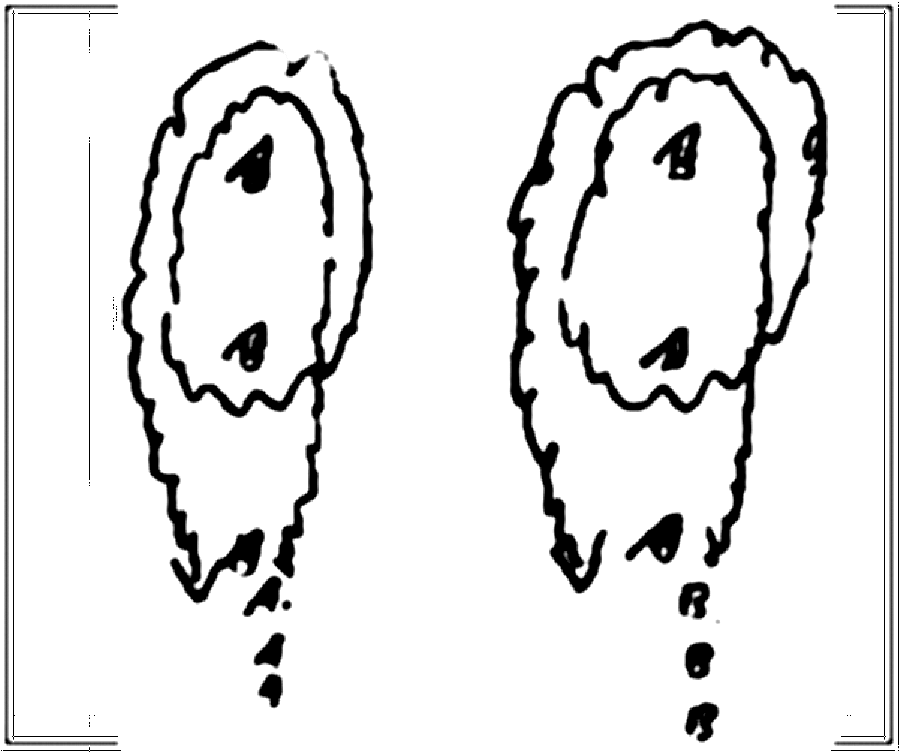 Diagramm zur Übung: Dribbling mit Hütchen als Staffel — Kondition…