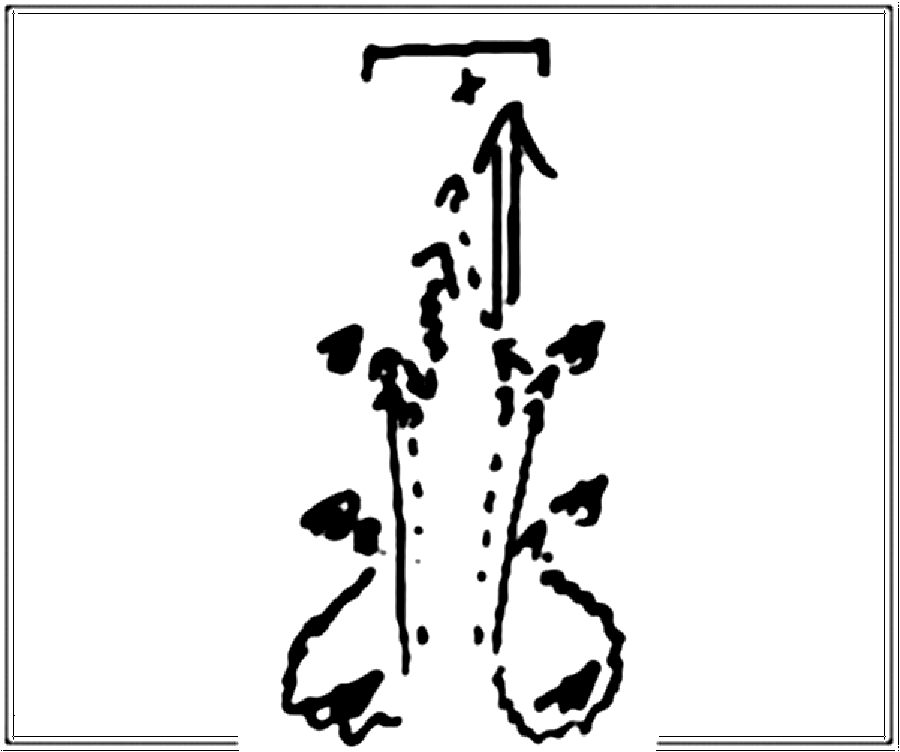 Diagramm zur Übung: Für jede Mannschaft werden 3 Hütchen hintereinander