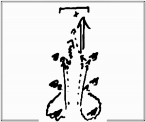 Diagramm zur Übung: Für jede Mannschaft werden 3 Hütchen…