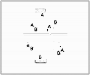 Diagramm zur Übung: Leibchen in Gruppen — Abwehrverhalten…