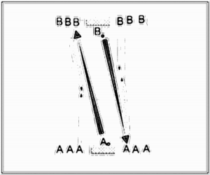 Diagramm zur Übung: Dribbling mit Leibchen im Stand —…