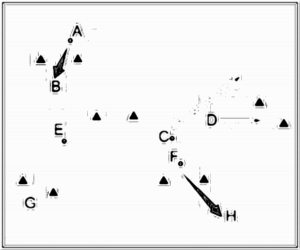 Diagramm zur Übung: Die Hütchentore werden frei verteilt…