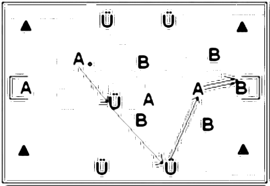 Diagramm zur Übung: Leibchen — Spielformen, oberer Amateurbereich