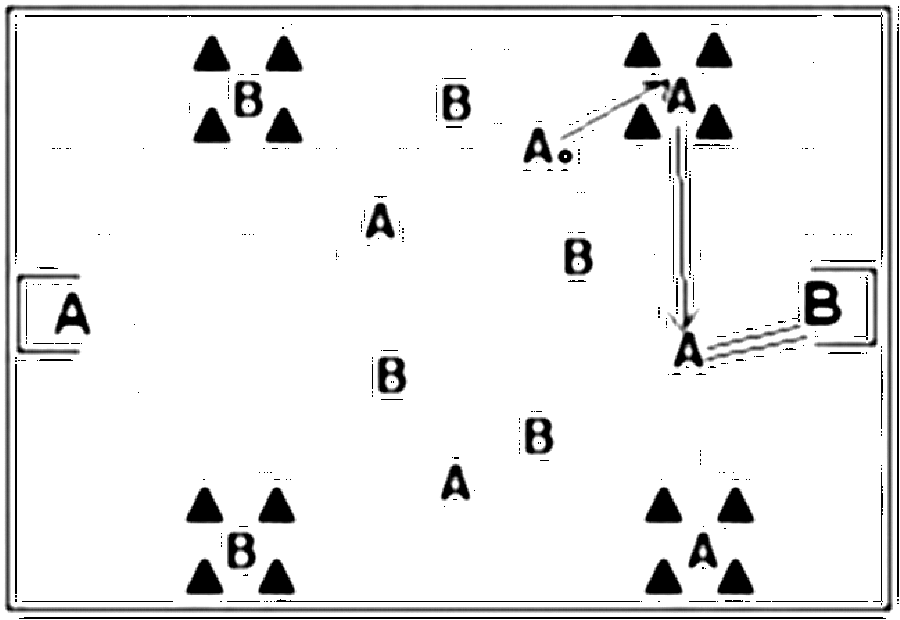 Diagramm zur Übung: Einlaufen (6 Minuten), A:B in einem ¾ großen…