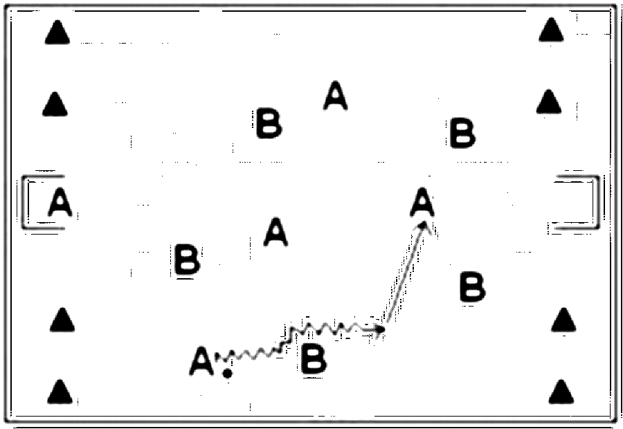 Diagramm zur Übung: A:B über ¾ des Platzes, das Feld wurde in der Breite