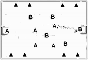 Diagramm zur Übung: Erst 5:2, dann sollte sich jeder selbst…
