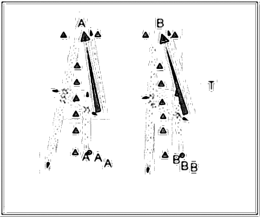 Diagramm zur Übung: Die Staffeln stehen an einem Hütchen (Nr. 3279)