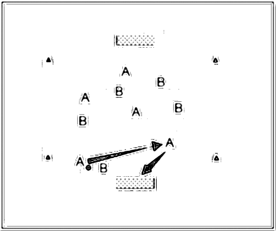 Diagramm zur Übung: Die beiden Mannschaften spielen auf die Tore
