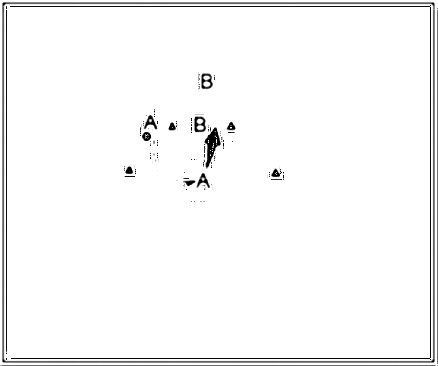 Diagramm zur Übung: Kopfball mit Hütchen — D-Jugend