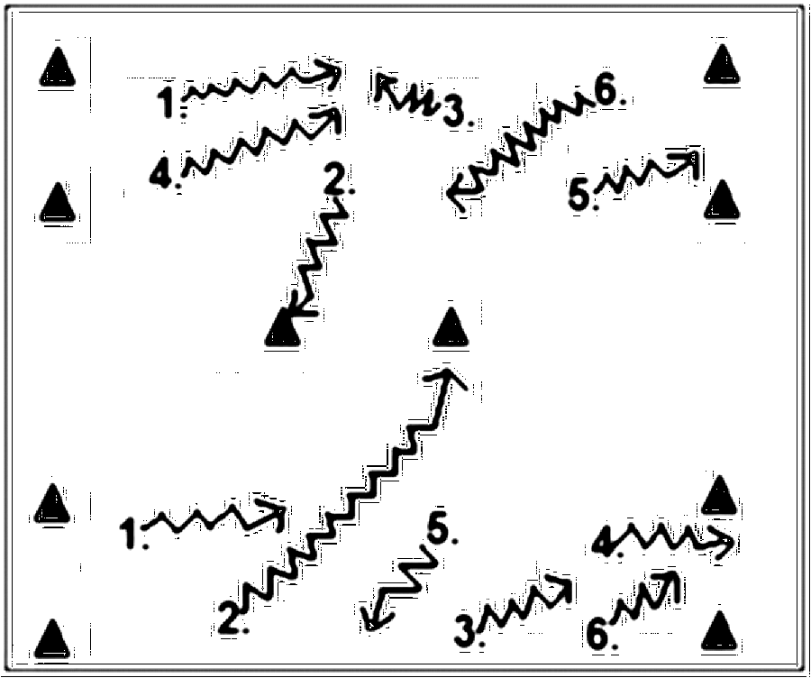 Diagramm zur Übung: Hütchen in Gruppen — Dribbling, C-Jugend
