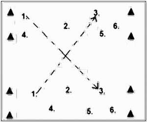 Diagramm zur Übung: Jeder Mannschaft werden…