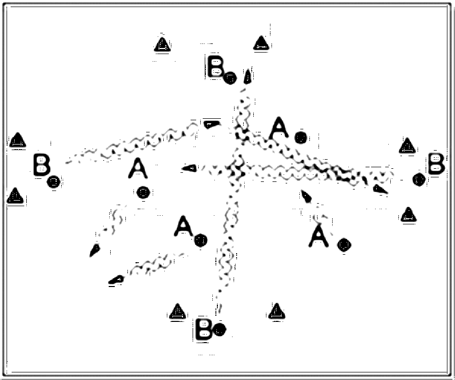 Diagramm zur Übung: Die 4 Hütchentore werden zu einem Quadrat (Nr. 3348)