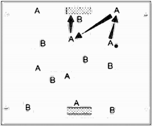 Diagramm zur Übung: Leibchen in Gruppen — Zuspiel, B-Jugend