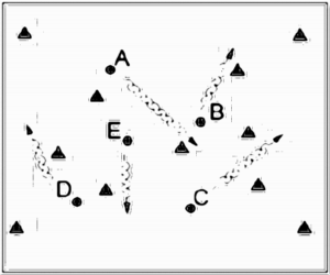 Diagramm zur Übung: In einem abgesteckten Feld werden die…
