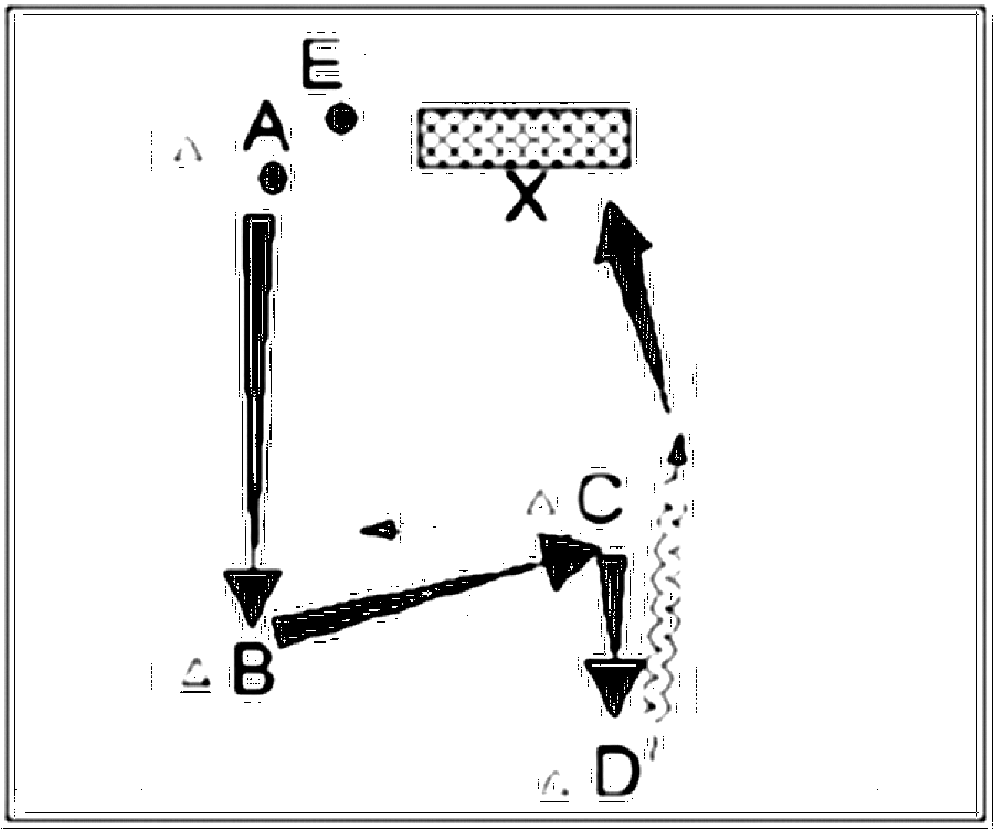Diagramm zur Übung: Laufweg mit Hütchen — Zuspiel, C-Jugend