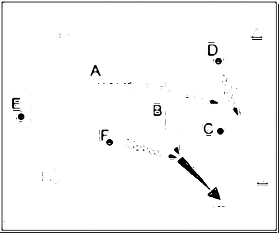 Diagramm zur Übung: Ein Drittel der Spieler dribbeln ihren Ball im Feld